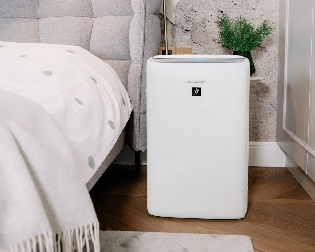 Oczyszczacz powietrza – co warto o nim wiedzieć?